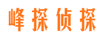 新野寻人公司